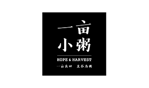 一亩小粥