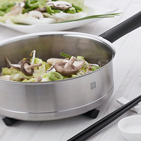 ZWILLING3